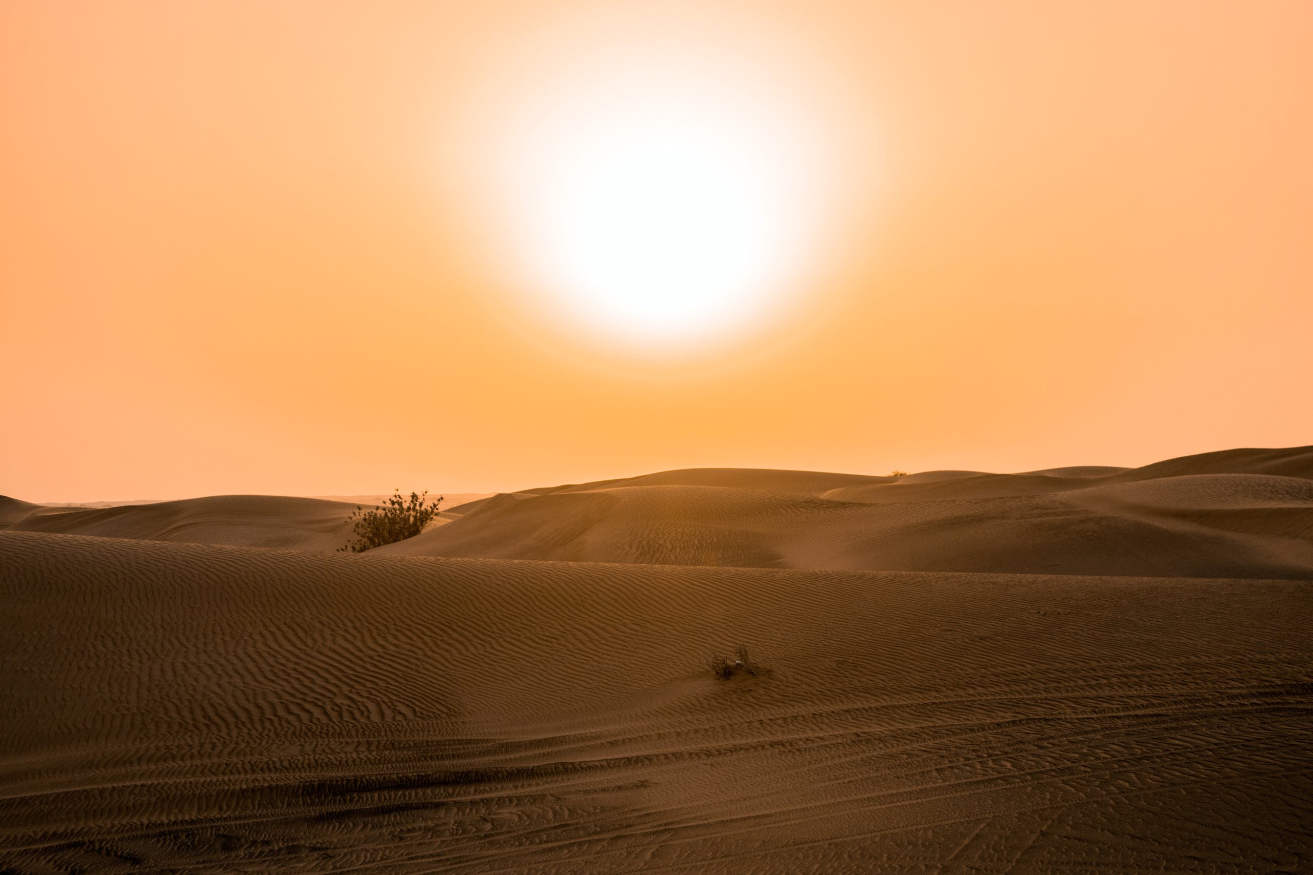 climate-change-iberdrola